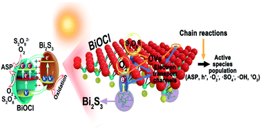 Graphical abstract: Modulating formation rates of active species population by optimizing electron transport channels for boosting the photocatalytic activity of a Bi2S3/BiO1−xCl heterojunction