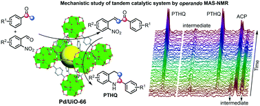 Graphical abstract: Tandem synthesis of tetrahydroquinolines and identification of the reaction network by operando NMR