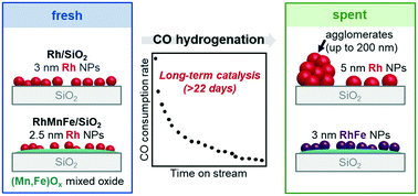 Graphical abstract: Formation, dynamics, and long-term stability of Mn- and Fe-promoted Rh/SiO2 catalysts in CO hydrogenation