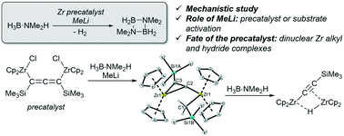 Graphical abstract: Mechanistic insights into dehydrocoupling of amine boranes using dinuclear zirconocene complexes