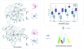Graphical abstract: Kinetic study and molecular dynamics simulation of two novel mannose isomerases