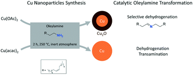 Graphical abstract: Influence of the copper precursor on the catalytic transformation of oleylamine during Cu nanoparticle synthesis