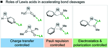Graphical abstract: Origins of Lewis acid acceleration in nickel-catalysed C–H, C–C and C–O bond cleavage