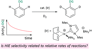 Graphical abstract: Are rate and selectivity correlated in iridium-catalysed hydrogen isotope exchange reactions?