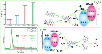 Graphical abstract: Enhanced photocatalytic degradation of tetracycline by constructing a controllable Cu2O–TiO2 heterojunction with specific crystal facets