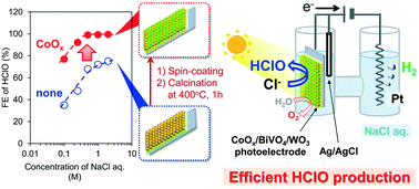 Graphical abstract: Improvement of photoelectrochemical HClO production under visible light irradiation by loading cobalt oxide onto a BiVO4 photoanode