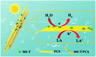 Graphical abstract: P-Doped CdS integrated with multiphasic MoSe2 nanosheets accomplish prominent photocatalytic activity for hydrogen evolution