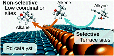 Graphical abstract: Selectivity of the Lindlar catalyst in alkyne semi-hydrogenation: a direct liquid-phase adsorption study