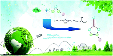 Graphical abstract: Hydroxy acid-functionalized ionic liquids as green alternatives for the efficient catalytic conversion of epoxides to cyclic carbonates under solvent and co-catalyst-free conditions