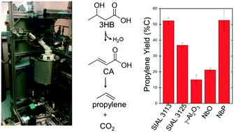 Graphical abstract: Vapor-phase conversion of aqueous 3-hydroxybutyric acid and crotonic acid to propylene over solid acid catalysts
