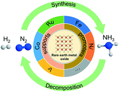 Graphical abstract: Applications of rare earth oxides in catalytic ammonia synthesis and decomposition