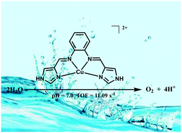 Graphical abstract: Electrochemical water oxidation by a copper complex with an N4-donor ligand under neutral conditions