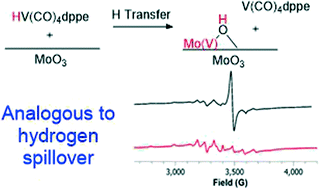 Graphical abstract: The reaction of HV(CO)4dppe with MoO3: a well-defined model of hydrogen spillover