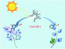 Graphical abstract: Promoting charge separation in donor–acceptor conjugated microporous polymers via cyanation for the photocatalytic reductive dehalogenation of chlorides