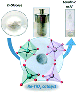 Graphical abstract: Nanocrystalline rhenium-doped TiO2: an efficient catalyst in the one-pot conversion of carbohydrates into levulinic acid. The synergistic effect between Brønsted and Lewis acid sites