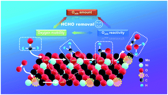 Graphical abstract: Nickel oxide regulating surface oxygen to promote formaldehyde oxidation on manganese oxide catalysts