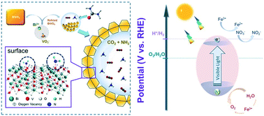 Graphical abstract: The effect of Fe(iii) ions on oxygen-vacancy-rich BiVO4 on the photocatalytic oxygen evolution reaction