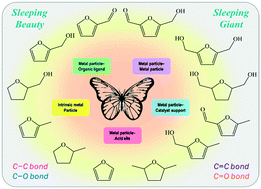 Graphical abstract: Taming the butterfly effect: modulating catalyst nanostructures for better selectivity control of the catalytic hydrogenation of biomass-derived furan platform chemicals