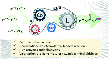 Graphical abstract: Valorisation of mixtures of linear alkenes using cobalt-mediated isomerisation and hydroformylation chemistries