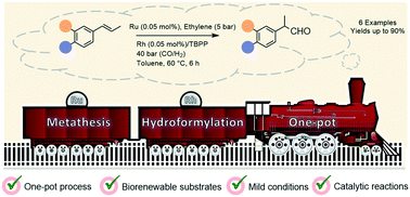 Graphical abstract: The first one-pot metathesis–hydroformylation procedure: a straight synthesis of 2-arylpropanals from renewable 1-propenylbenzenes