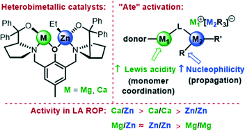 Graphical abstract: Heterometallic cooperativity in divalent metal ProPhenol catalysts: combining zinc with magnesium or calcium for cyclic ester ring-opening polymerisation