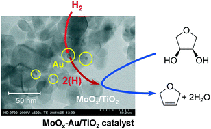 Graphical abstract: Titania-supported molybdenum oxide combined with Au nanoparticles as a hydrogen-driven deoxydehydration catalyst of diol compounds