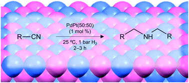 Graphical abstract: Nitrile hydrogenation to secondary amines under ambient conditions over palladium–platinum random alloy nanoparticles