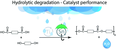 Graphical abstract: Kinetic studies on Lewis acidic metal polyesterification catalysts – hydrolytic degradation is a key factor for catalytic performance