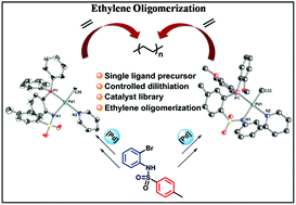 Graphical abstract: Controlled di-lithiation enabled synthesis of phosphine-sulfonamide ligands and implications in ethylene oligomerization