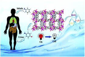 Graphical abstract: A water stable Eu(iii)–organic framework as a recyclable multi-responsive luminescent sensor for efficient detection of p-aminophenol in simulated urine, and MnVII and CrVI anions in aqueous solutions