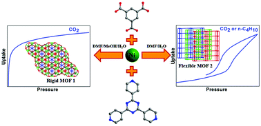Graphical abstract: Two porous Ni-MOFs based on 2,4,6-tris(pyridin-4-yl)-1,3,5-triazine showing solvent determined structures and distinctive sorption properties toward CO2 and alkanes