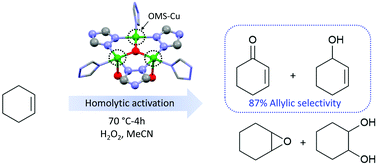 Graphical abstract: Selective cyclohexene oxidation to allylic compounds over a Cu-triazole framework via homolytic activation of hydrogen peroxide