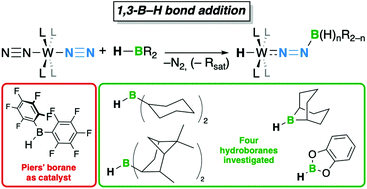Graphical abstract: Borane-catalysed dinitrogen borylation by 1,3-B–H bond addition