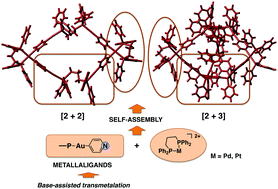 Graphical abstract: Base-assisted synthesis of 4-pyridinate gold(i) metallaligands: a study of their use in self-assembly reactions