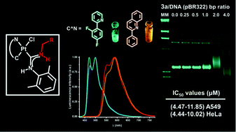 Graphical abstract: Luminescent cyclometalated platinum(ii) complexes with acyclic diaminocarbene ligands: structural, photophysical and biological properties