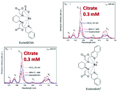 Graphical abstract: Isoquinoline-based Eu(iii) luminescent probes for citrate sensing in complex matrix