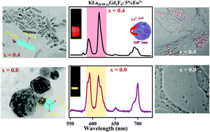 Graphical abstract: KLa(0.95−x)GdxF4:Eu3+ hexagonal phase nanoparticles as luminescent probes for in vitro Huh-7 cancer cell imaging