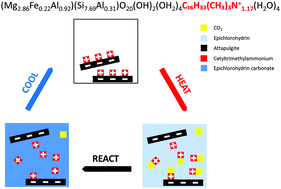 Graphical abstract: Getting rid of the shackles from the support: construction of recoverable semi-homogeneous catalysts with attapulgite