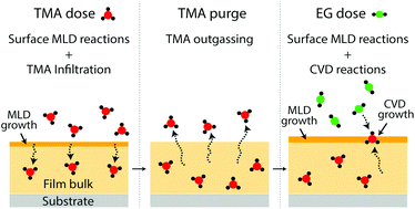 Graphical abstract: About the importance of purge time in molecular layer deposition of alucone films