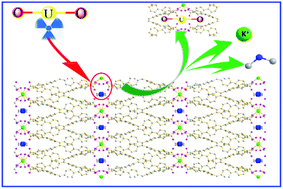 Graphical abstract: An anionic potassium-organic framework for selective removal of uranyl ions
