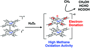 Graphical abstract: High catalytic methane oxidation activity of monocationic μ-nitrido-bridged iron phthalocyanine dimer with sixteen methyl groups