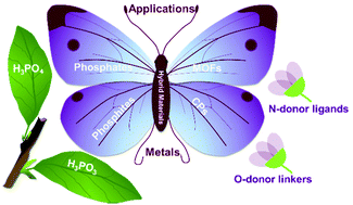 Graphical abstract: Recent developments in organic–inorganic hybrid metal phosphates and phosphites