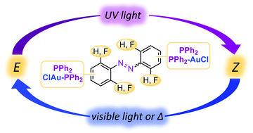 Graphical abstract: Synthesis and properties of photoswitchable diphosphines and gold(i) complexes derived from azobenzenes