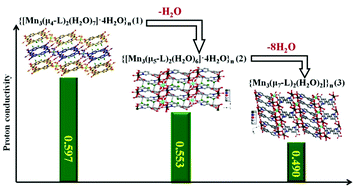 Graphical abstract: Single-crystal-to-single-crystal transformations among three Mn-MOFs containing different water molecules induced by reaction time: crystal structures and proton conductivities