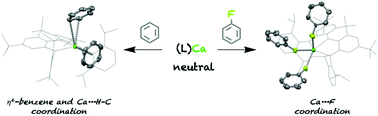 Graphical abstract: C–H and C–F coordination of arenes in neutral alkaline earth metal complexes