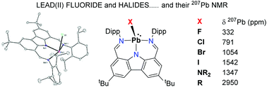 Graphical abstract: Bis(imino)carbazolate lead(ii) fluoride and related halides