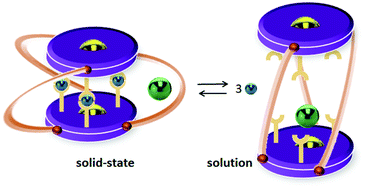 Graphical abstract: Cation-translocation based isomerism offers a tool for the expansion of compressed helicates