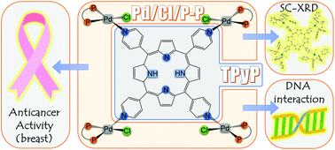 Graphical abstract: meso-Tetra-(4-pyridyl)porphyrin/palladium(ii) complexes as anticancer agents