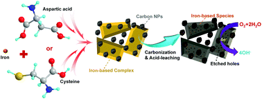 Graphical abstract: A nitrogen and sulfur co-doped iron-based electrocatalyst derived from iron and biomass ligand towards the oxygen reduction reaction in alkaline media