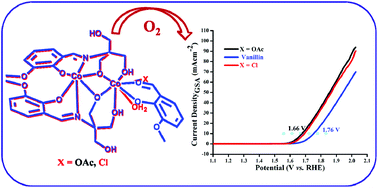 Graphical abstract: Facile water oxidation by dinuclear mixed-valence CoIII/CoII complexes: the role of coordinated water